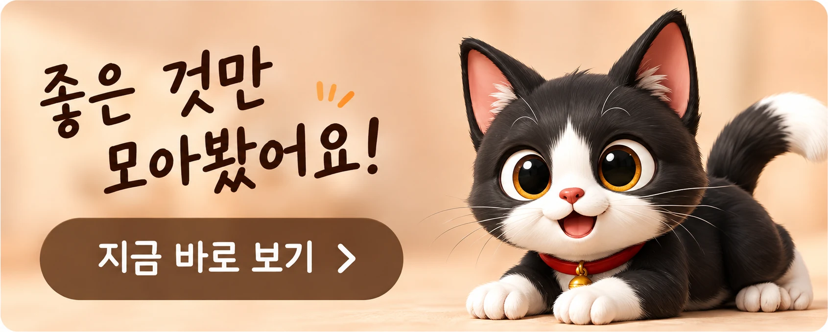 좋은 것만 모아봤어요! 지금 바로 보기